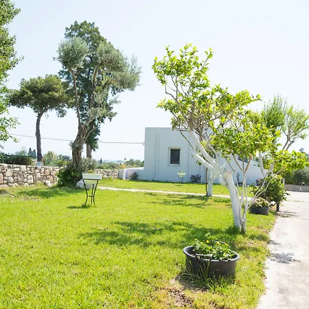 Gelli Kos Town