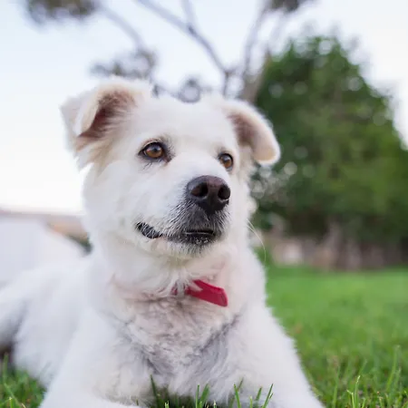 Gelli Ξενοδοχείο με διαμερίσματα
